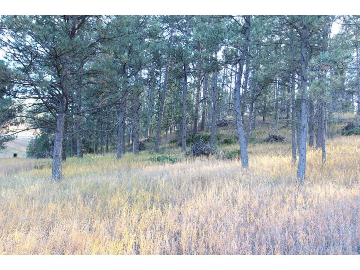 Picture of Residential Land For Sale in Custer, South Dakota, United States