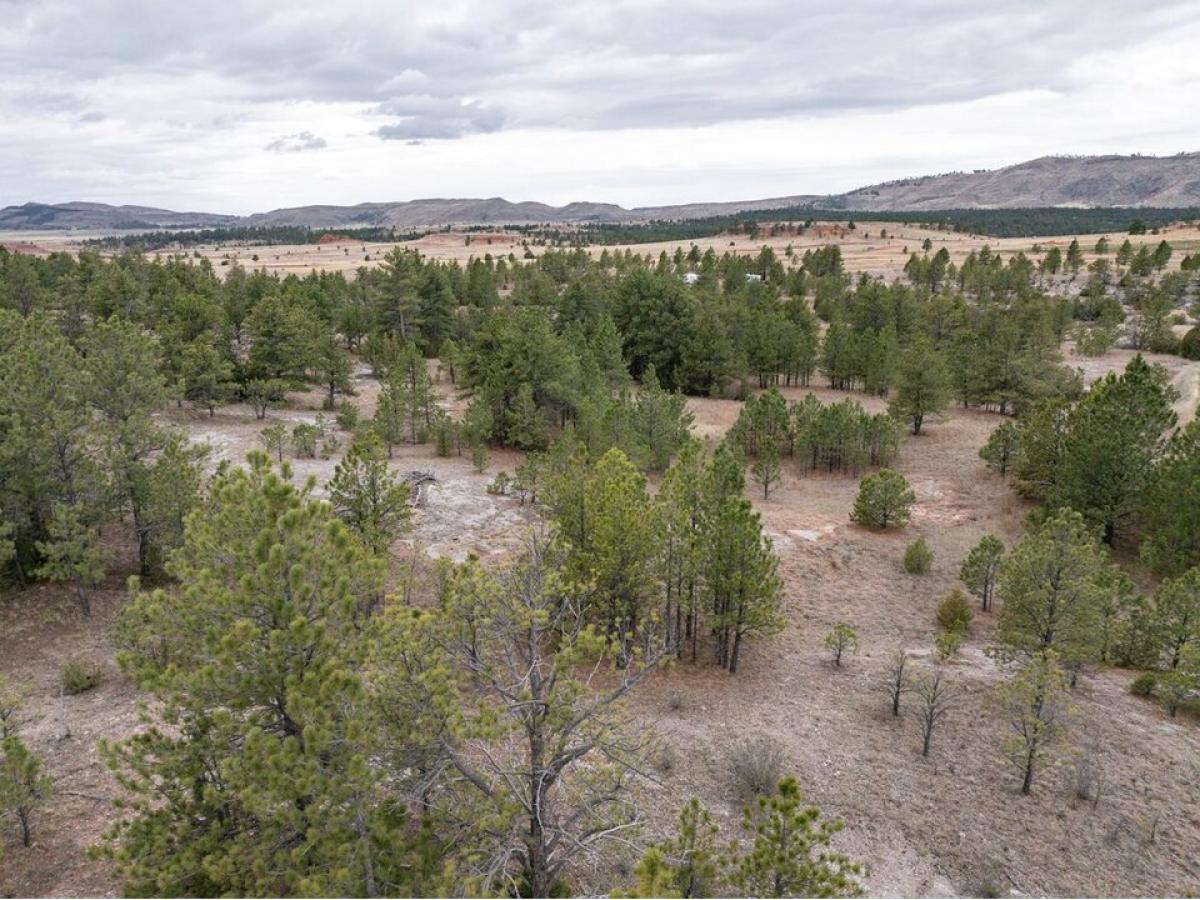 Picture of Residential Land For Sale in Custer, South Dakota, United States