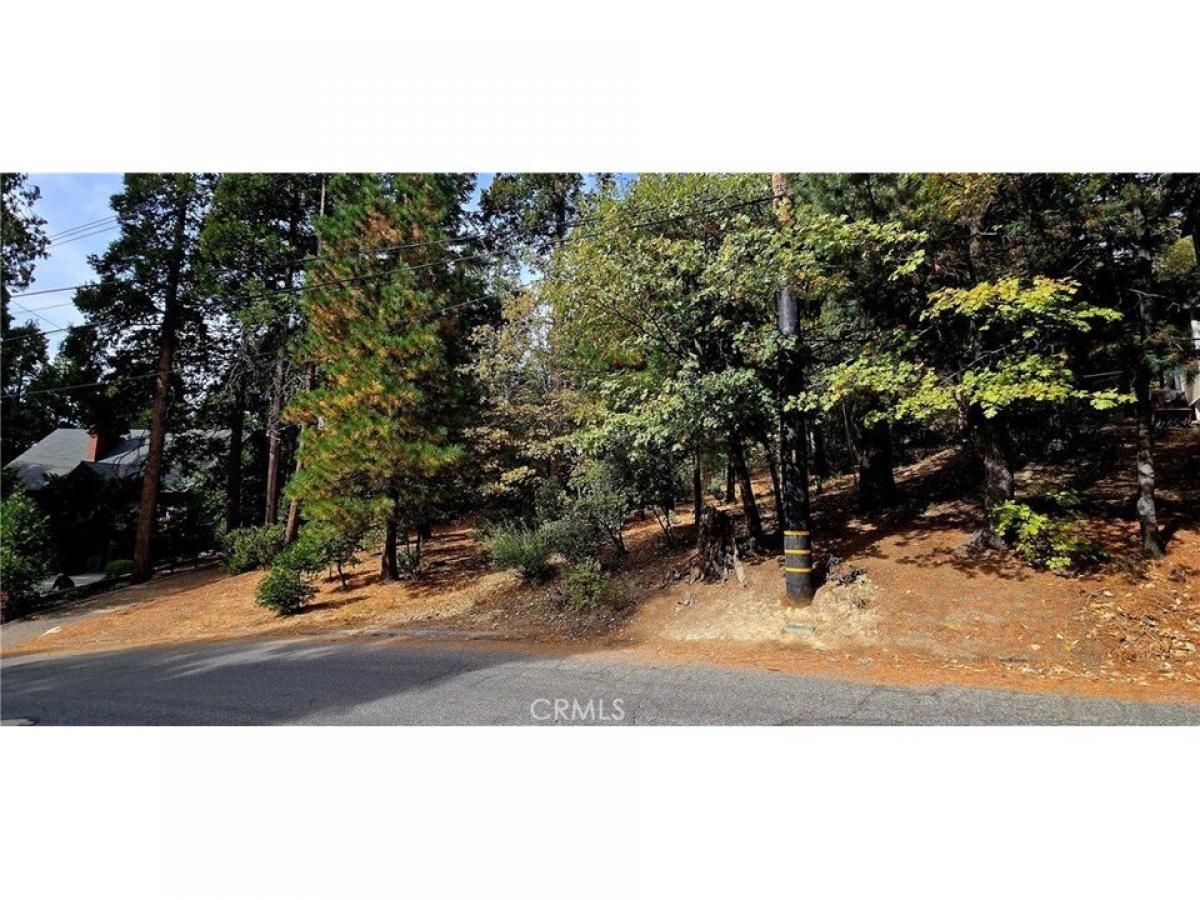 Picture of Residential Land For Sale in Lake Arrowhead, California, United States