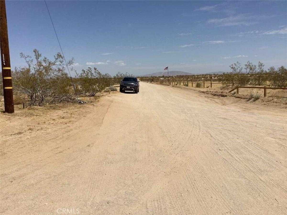 Picture of Residential Land For Sale in Landers, California, United States