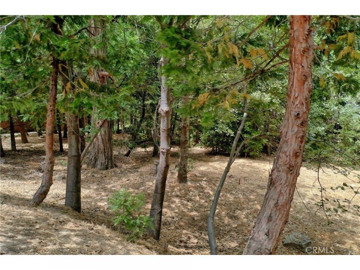 Picture of Residential Land For Sale in Lake Arrowhead, California, United States