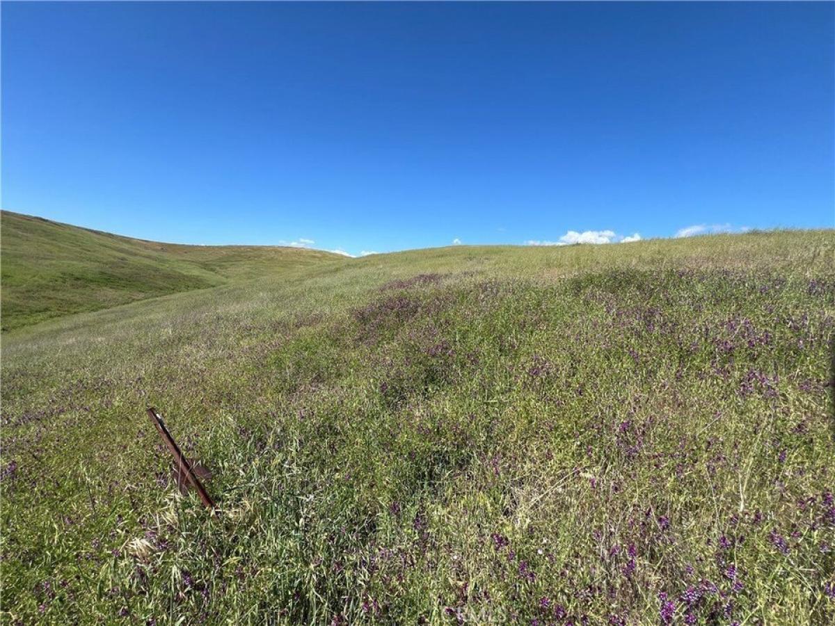 Picture of Residential Land For Sale in Paso Robles, California, United States