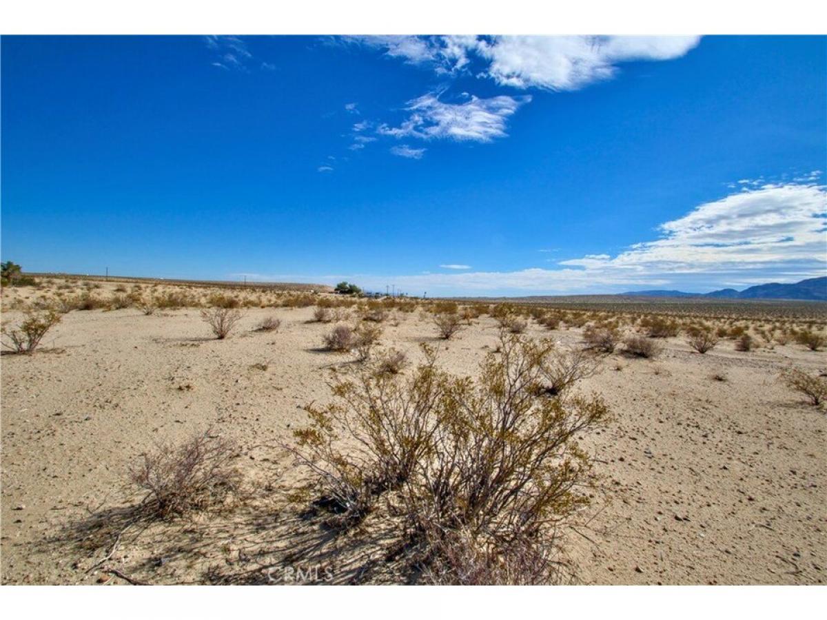 Picture of Residential Land For Sale in 29 Palms, California, United States