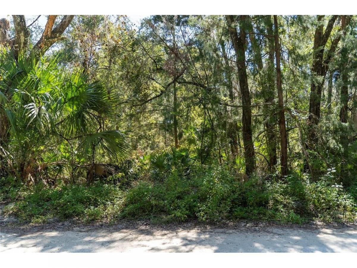 Picture of Residential Land For Sale in Old Town, Florida, United States