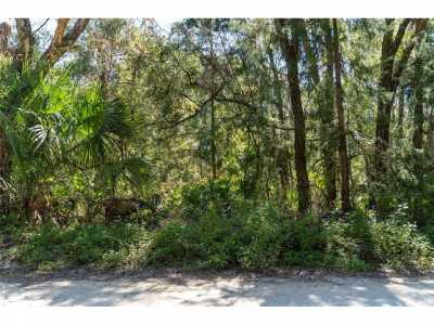 Residential Land For Sale in Old Town, Florida