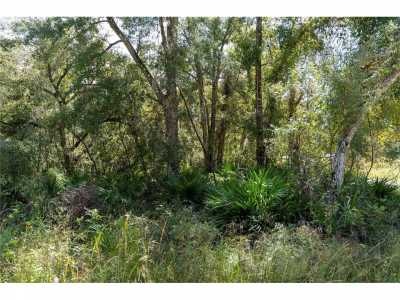 Residential Land For Sale in Old Town, Florida