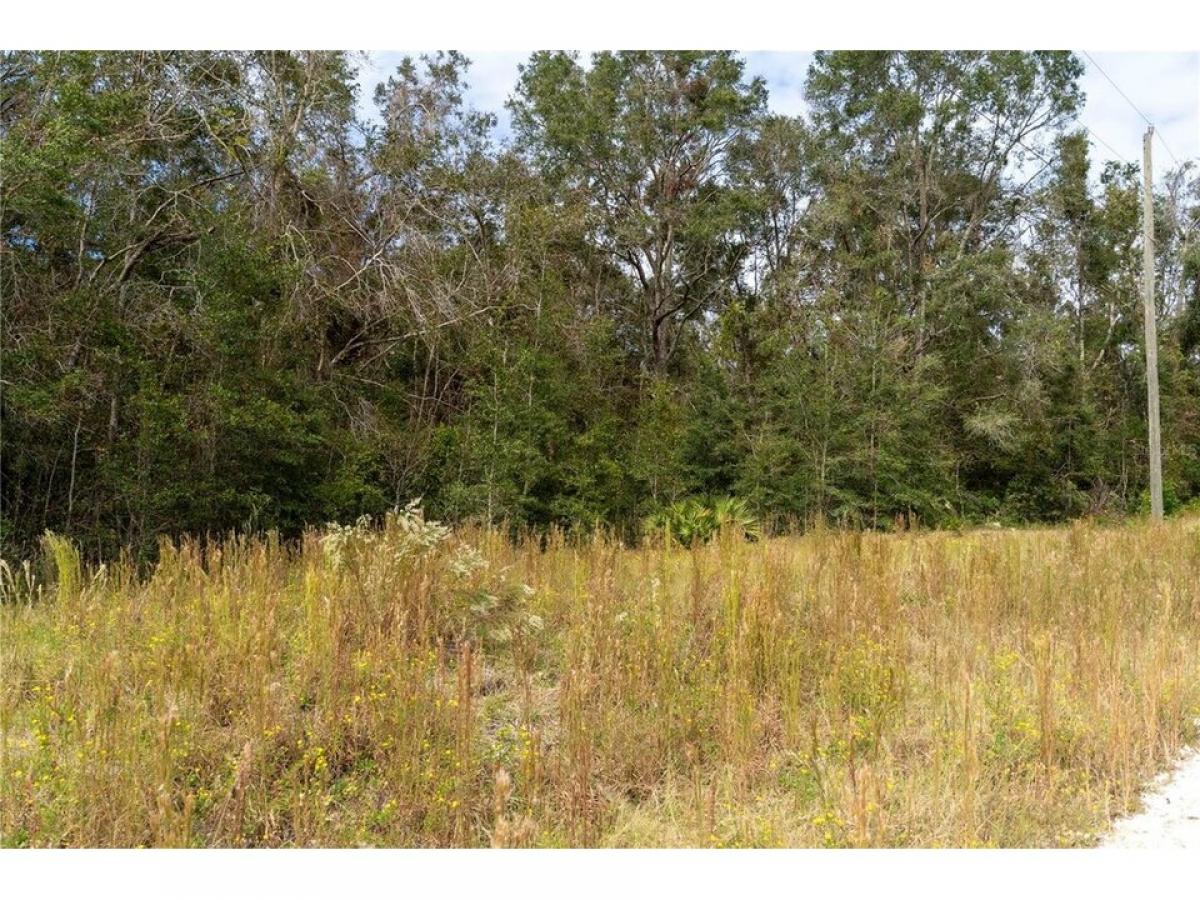 Picture of Residential Land For Sale in Old Town, Florida, United States