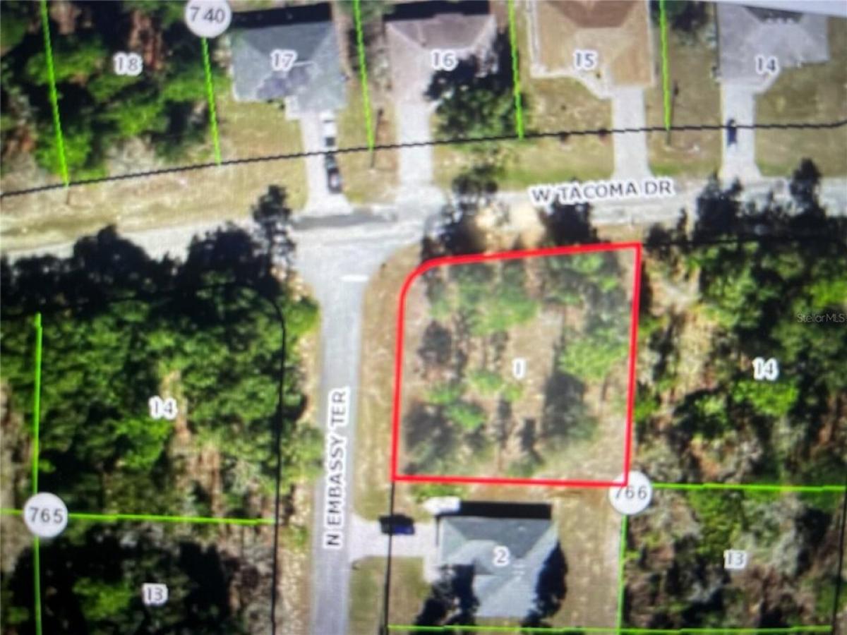 Picture of Residential Land For Sale in Citrus Springs, Florida, United States