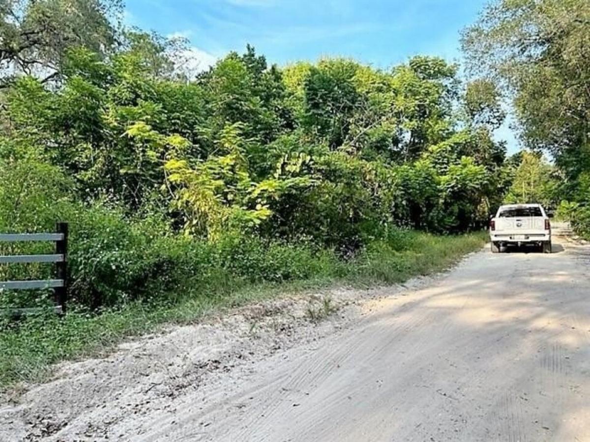 Picture of Residential Land For Sale in Silver Springs, Florida, United States