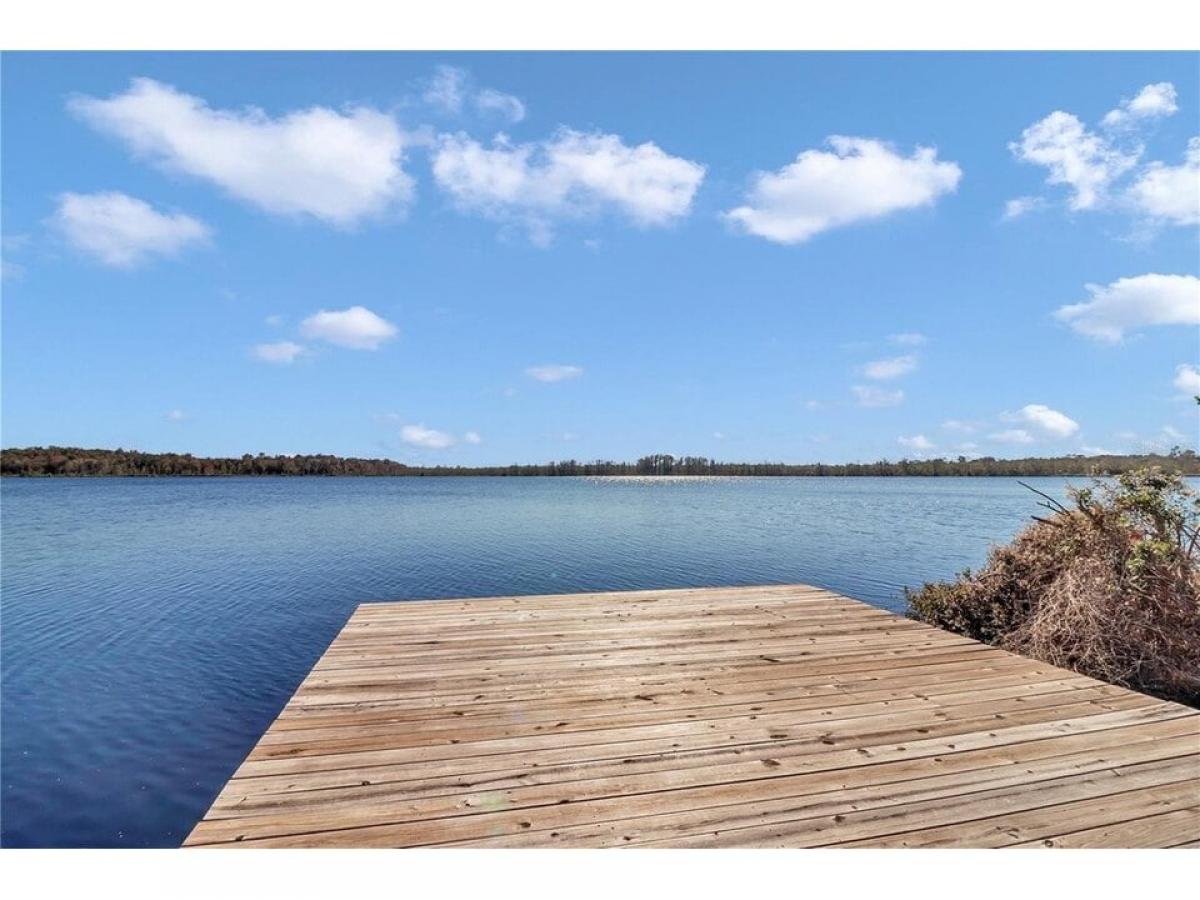 Picture of Residential Land For Sale in Silver Springs, Florida, United States