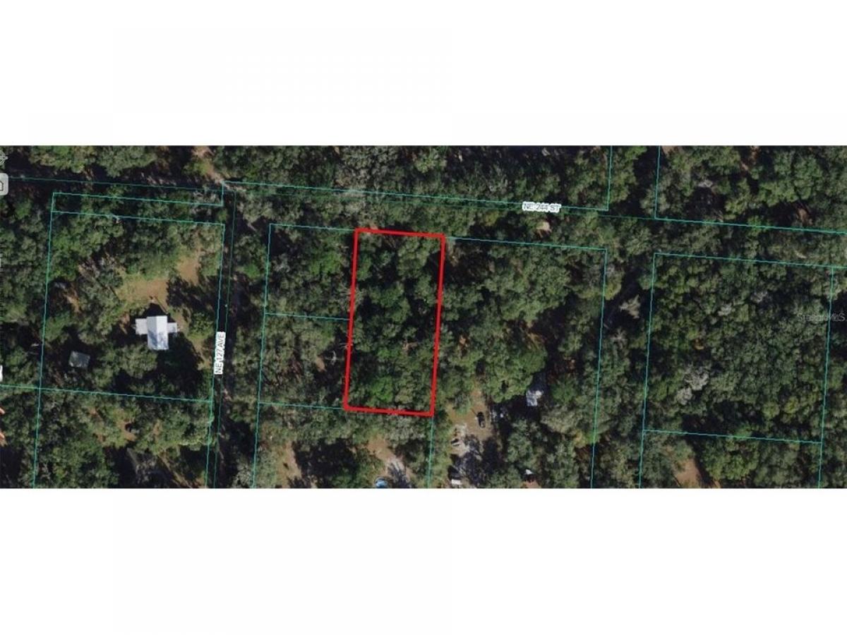 Picture of Residential Land For Sale in Orange Springs, Florida, United States