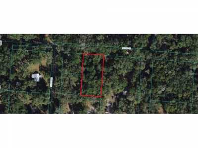 Residential Land For Sale in Orange Springs, Florida