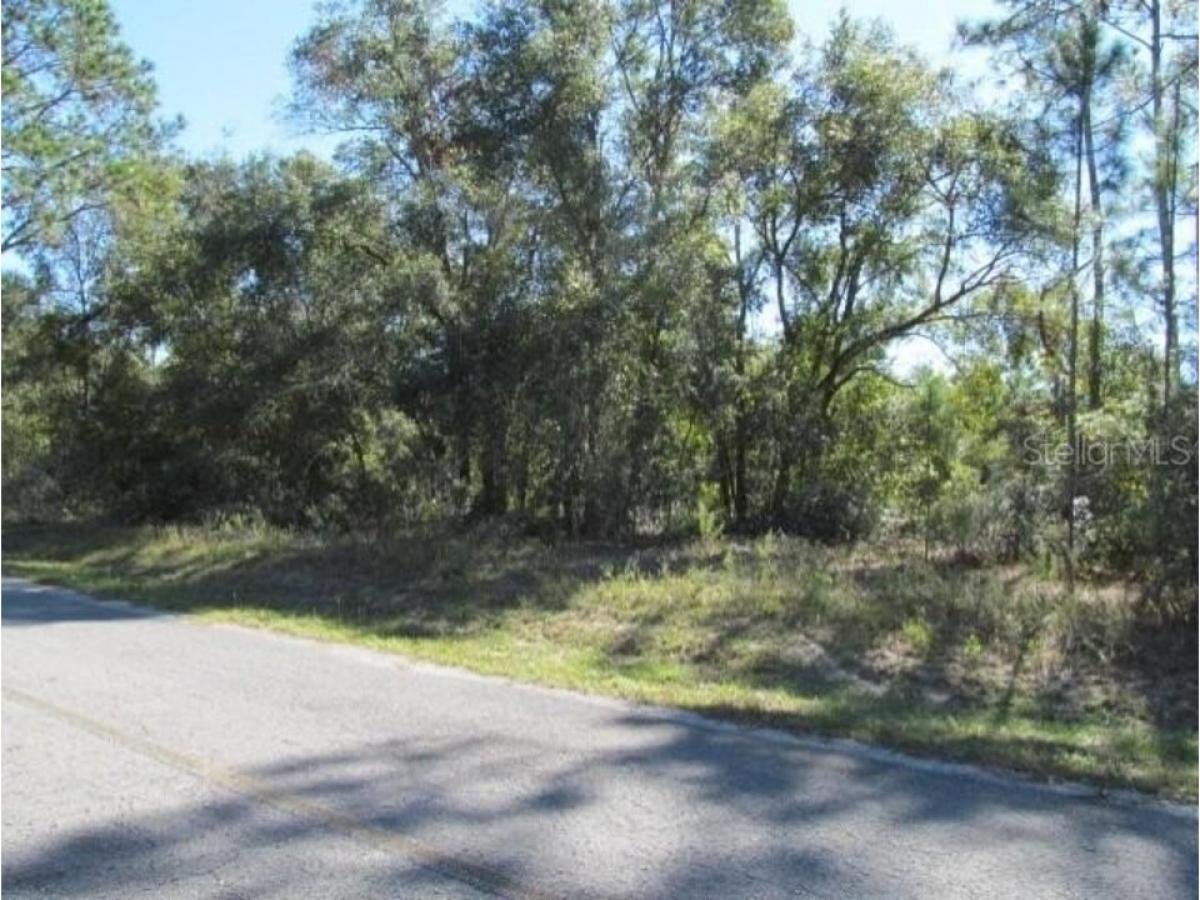 Picture of Residential Land For Sale in Ocklawaha, Florida, United States