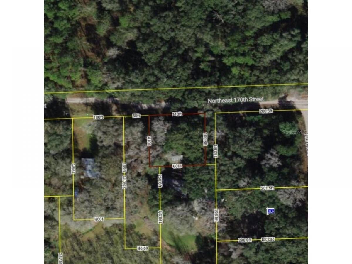 Picture of Residential Land For Sale in Citra, Florida, United States