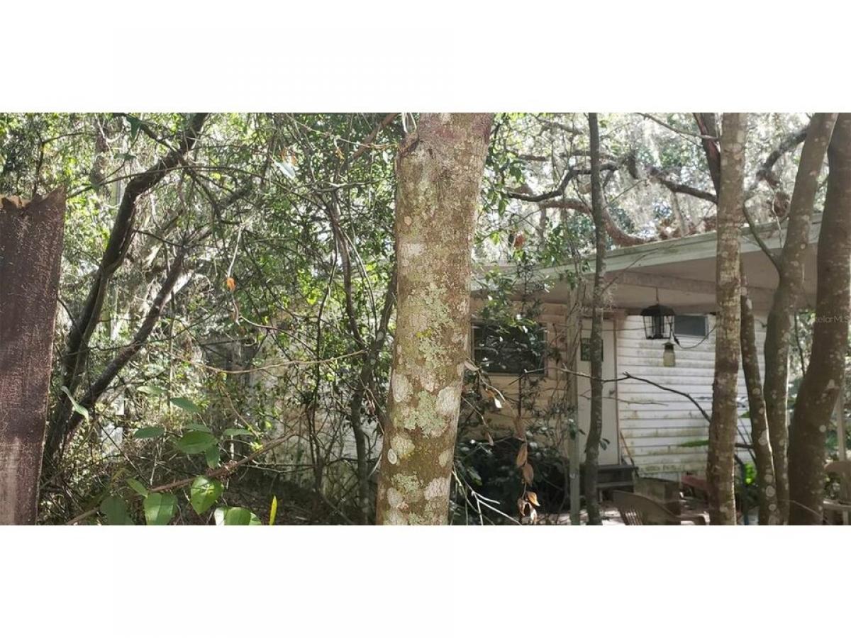 Picture of Home For Sale in Salt Springs, Florida, United States