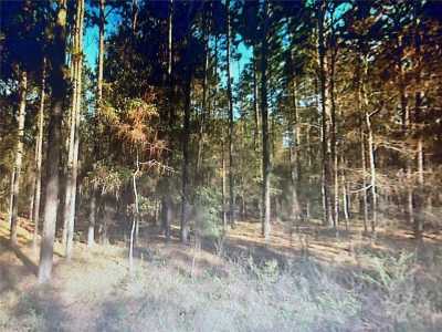 Residential Land For Sale in Ocala, Florida