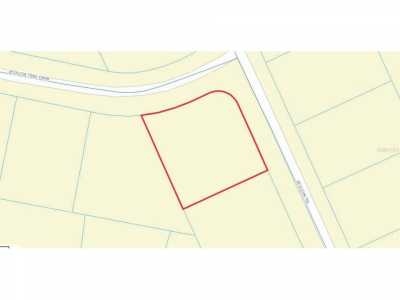 Residential Land For Sale in Ocklawaha, Florida