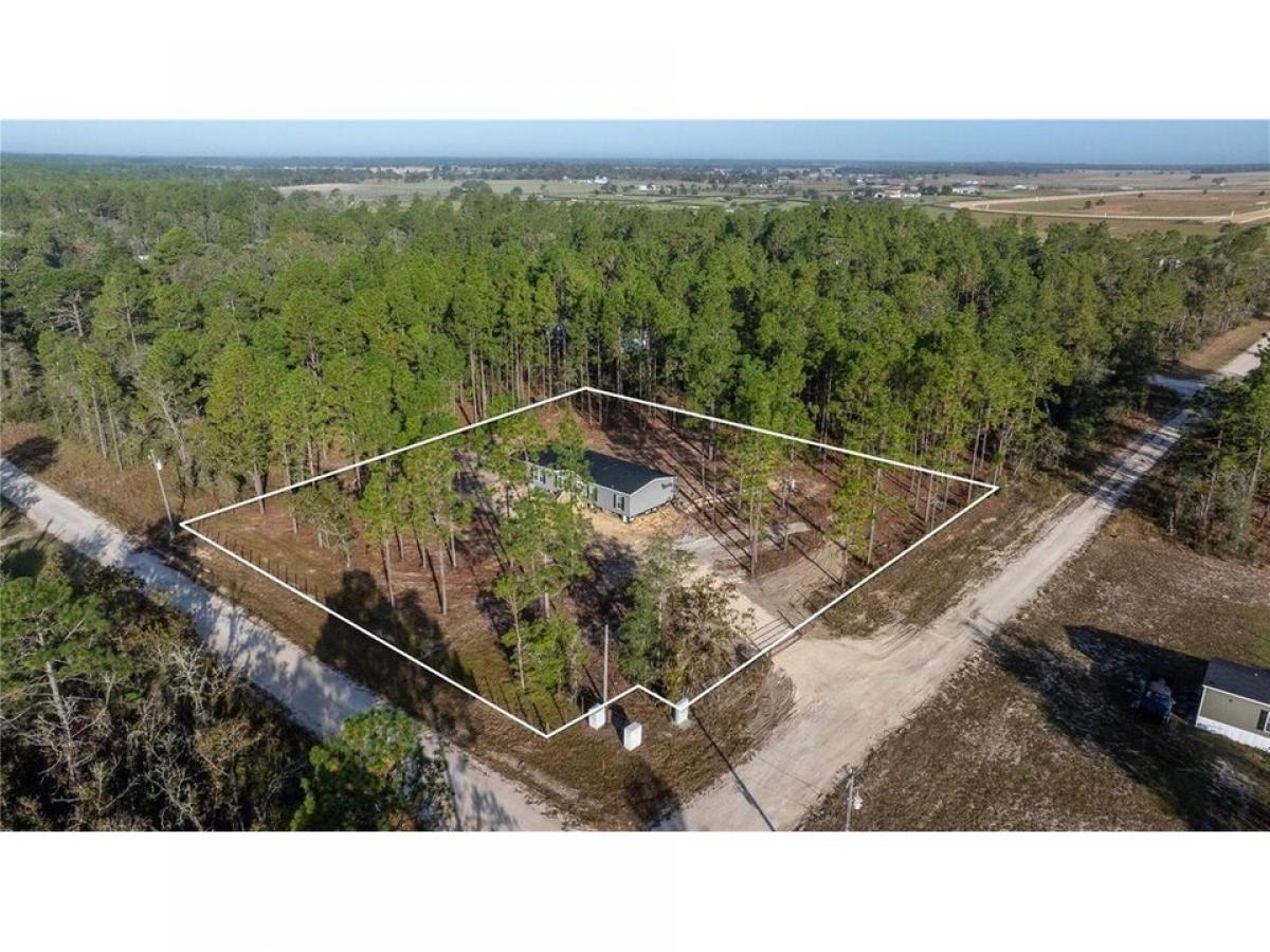 Picture of Home For Sale in Williston, Florida, United States