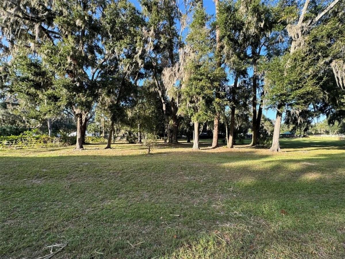 Picture of Residential Land For Sale in Citra, Florida, United States