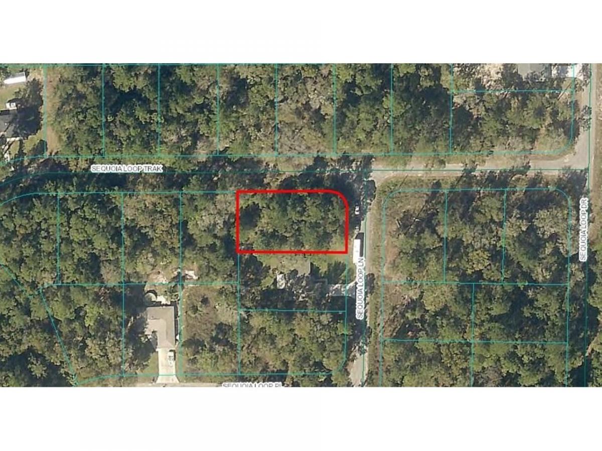 Picture of Residential Land For Sale in Ocklawaha, Florida, United States