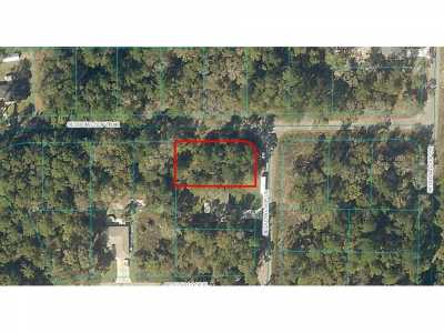 Residential Land For Sale in Ocklawaha, Florida