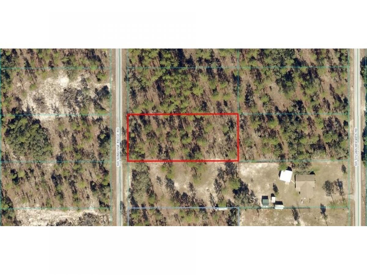 Picture of Residential Land For Sale in Dunnellon, Florida, United States