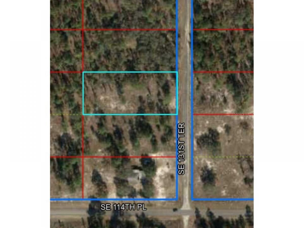 Picture of Residential Land For Sale in Dunnellon, Florida, United States