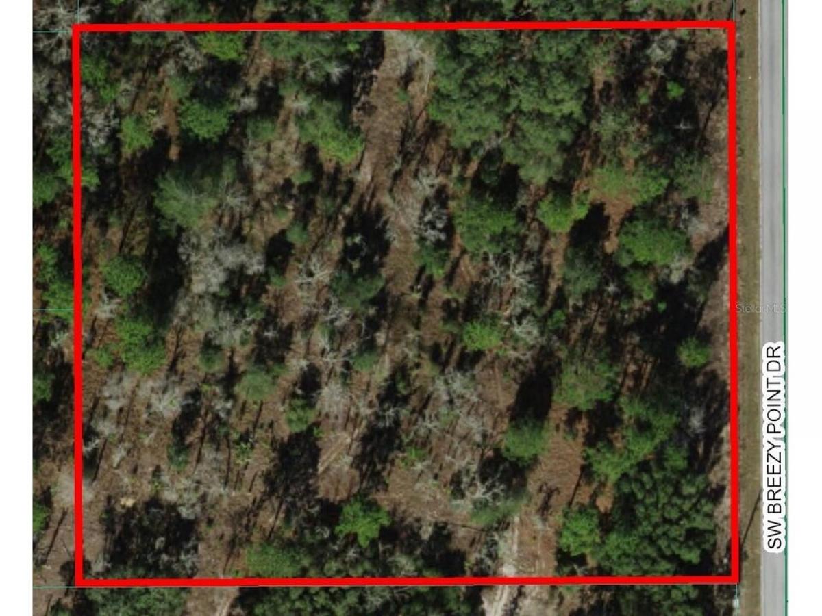 Picture of Residential Land For Sale in Dunnellon, Florida, United States