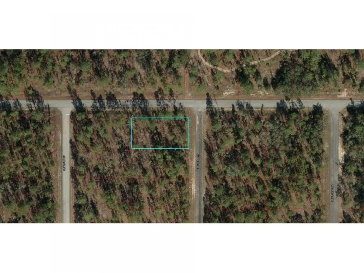 Picture of Residential Land For Sale in Dunnellon, Florida, United States