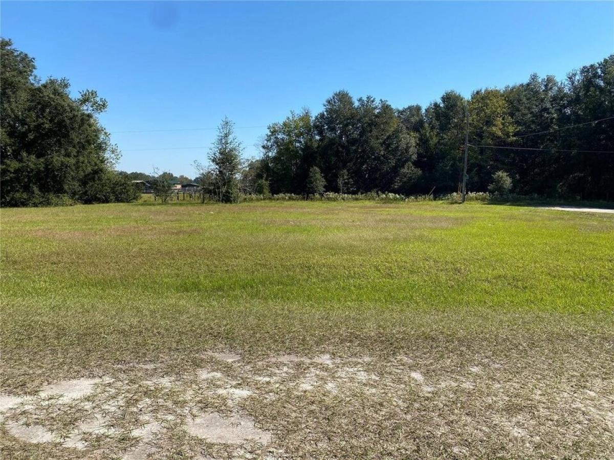 Picture of Residential Land For Sale in Dunnellon, Florida, United States