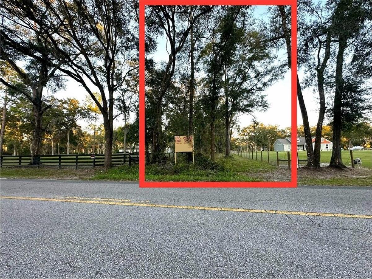 Picture of Residential Land For Sale in Morriston, Florida, United States