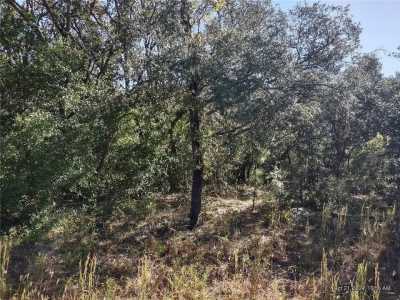 Residential Land For Sale in Williston, Florida