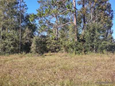 Residential Land For Sale in Williston, Florida