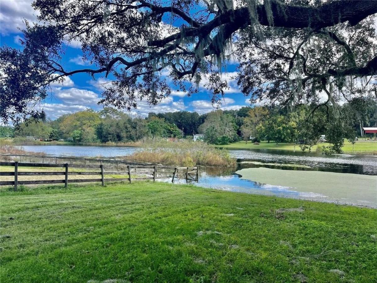 Picture of Home For Sale in Summerfield, Florida, United States