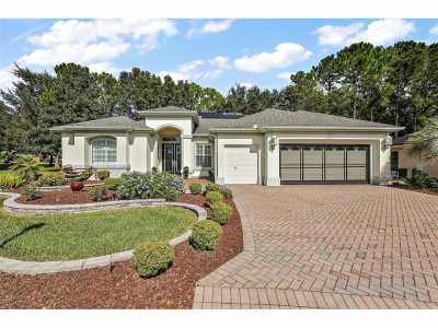 Home For Sale in Summerfield, Florida