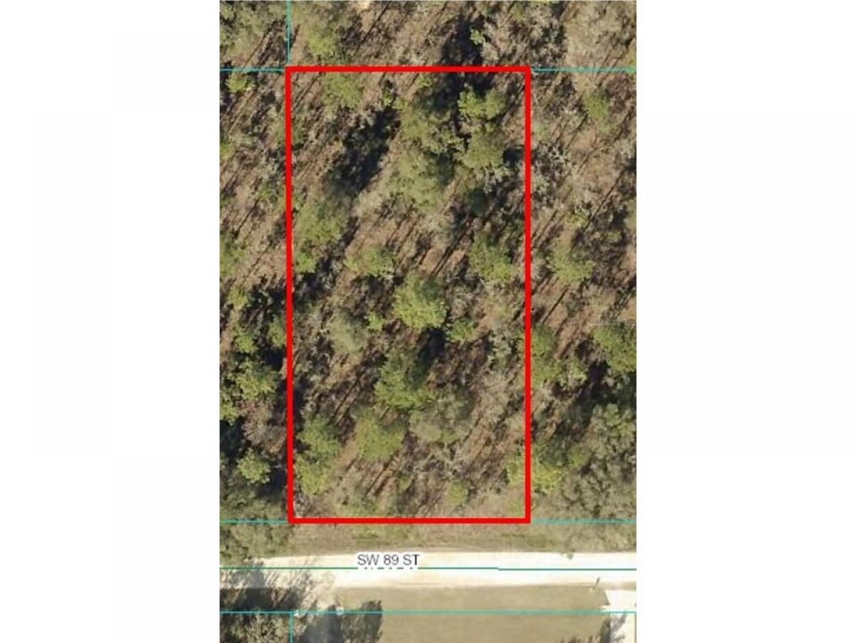 Picture of Residential Land For Sale in Dunnellon, Florida, United States