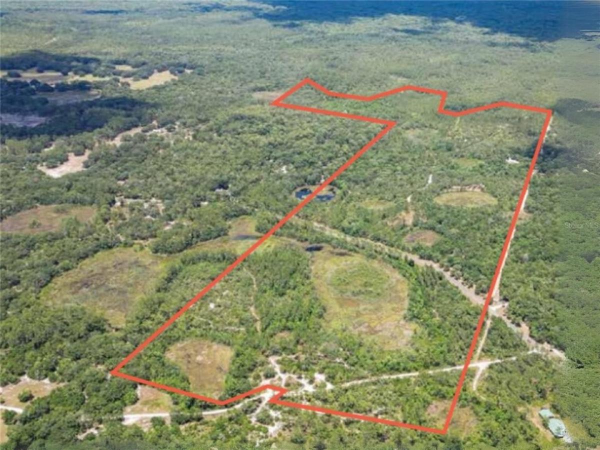 Picture of Residential Land For Sale in Fort Mc Coy, Florida, United States