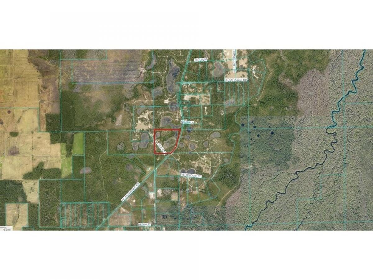 Picture of Residential Land For Sale in Fort Mc Coy, Florida, United States