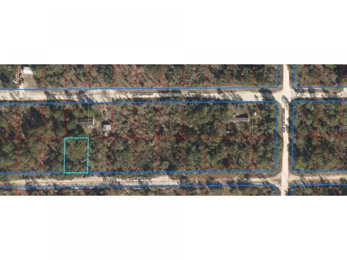 Picture of Residential Land For Sale in Williston, Florida, United States