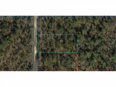 Residential Land For Sale in Dunnellon, Florida