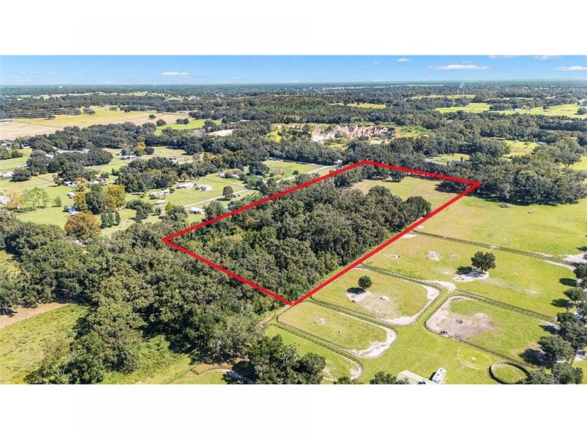 Picture of Residential Land For Sale in Ocala, Florida, United States