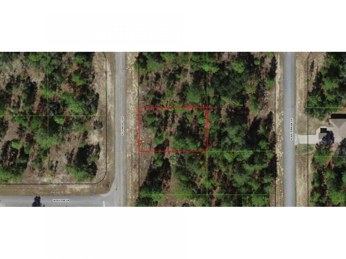 Picture of Residential Land For Sale in Citrus Springs, Florida, United States