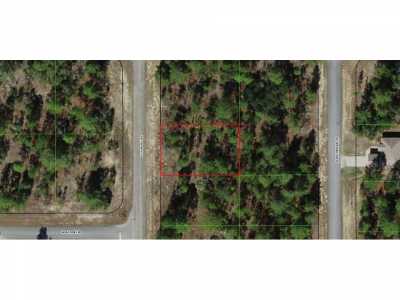 Residential Land For Sale in Citrus Springs, Florida