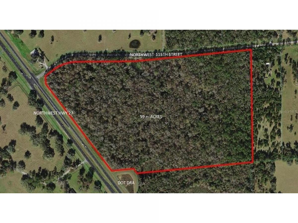 Picture of Residential Land For Sale in Ocala, Florida, United States