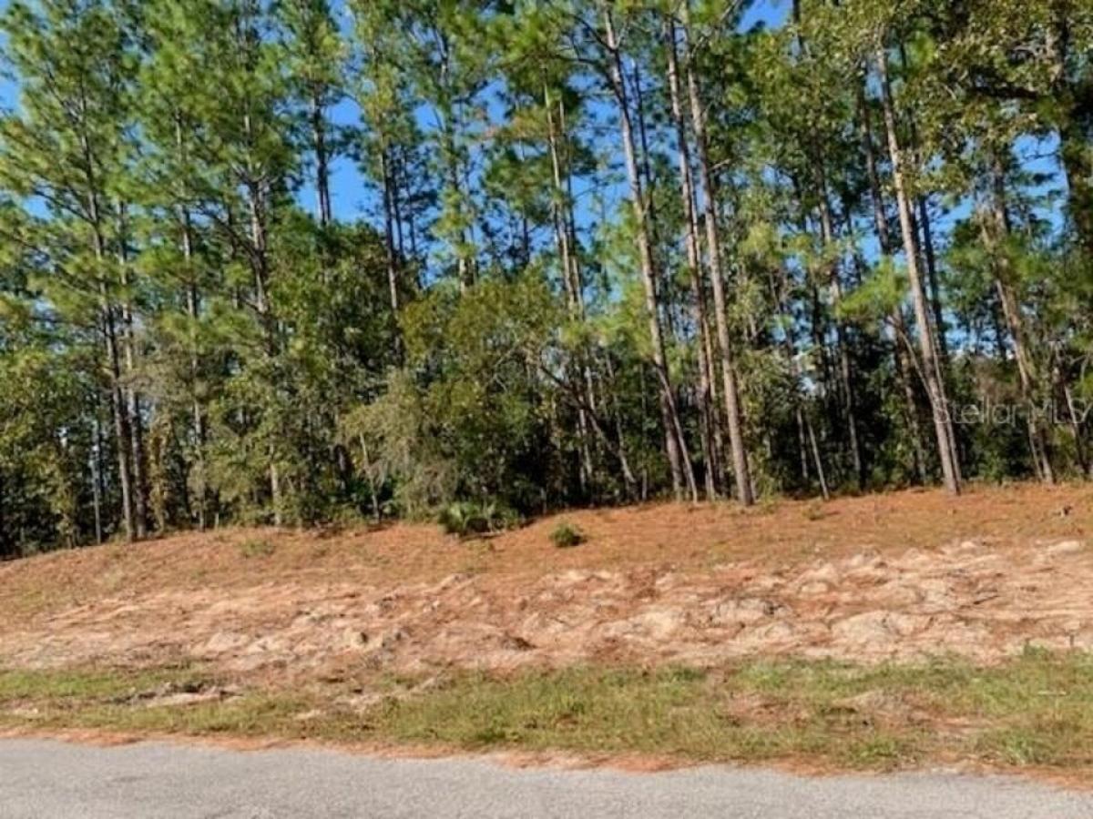 Picture of Residential Land For Sale in Ocala, Florida, United States