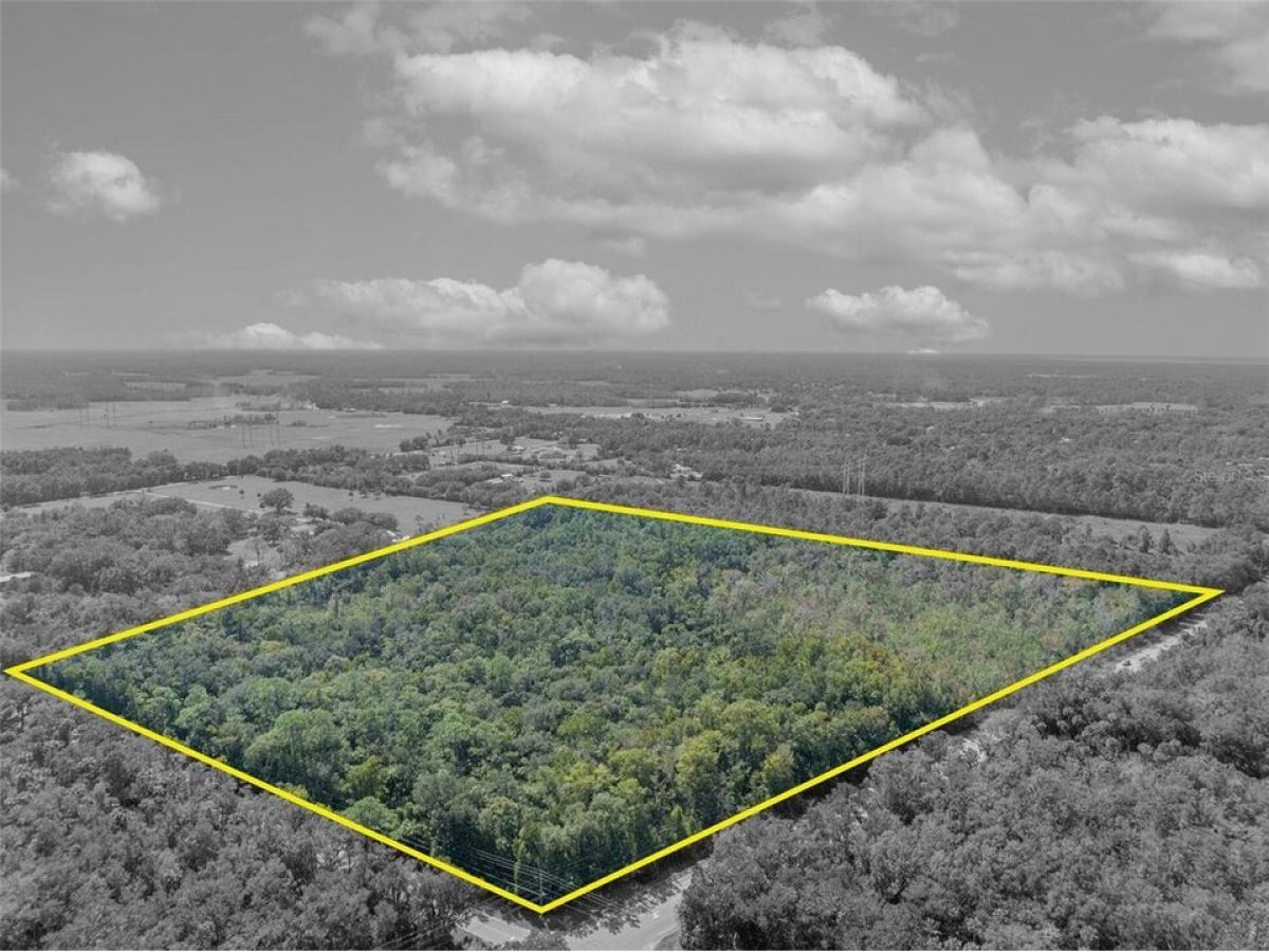 Picture of Residential Land For Sale in Geneva, Florida, United States