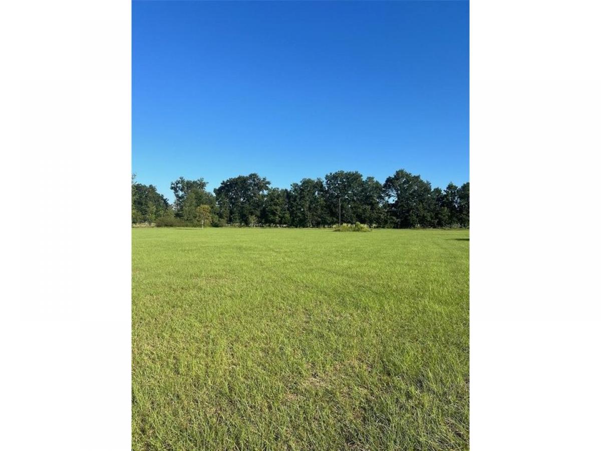 Picture of Residential Land For Sale in High Springs, Florida, United States