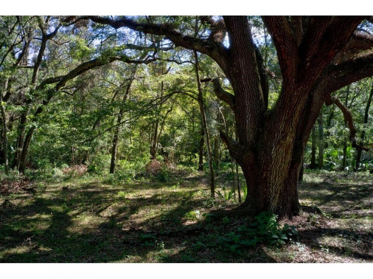 Picture of Residential Land For Sale in Gainesville, Florida, United States