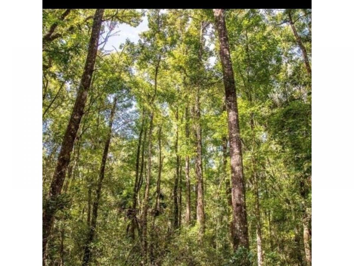 Picture of Residential Land For Sale in Old Town, Florida, United States