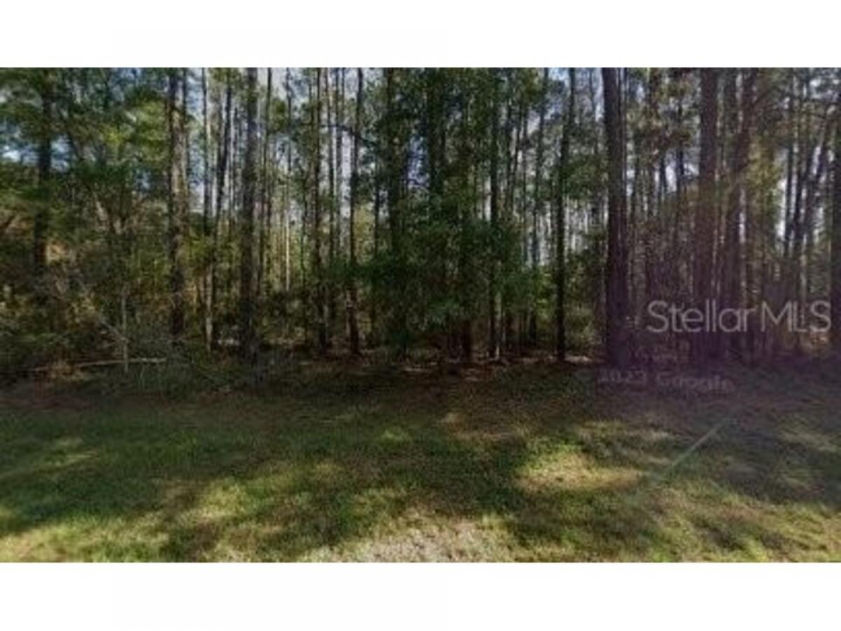 Picture of Residential Land For Sale in Citrus Springs, Florida, United States